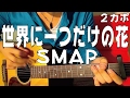 【ギター】 世界に一つだけの花 / SMAP (槇原敬之)  初心者向け コード