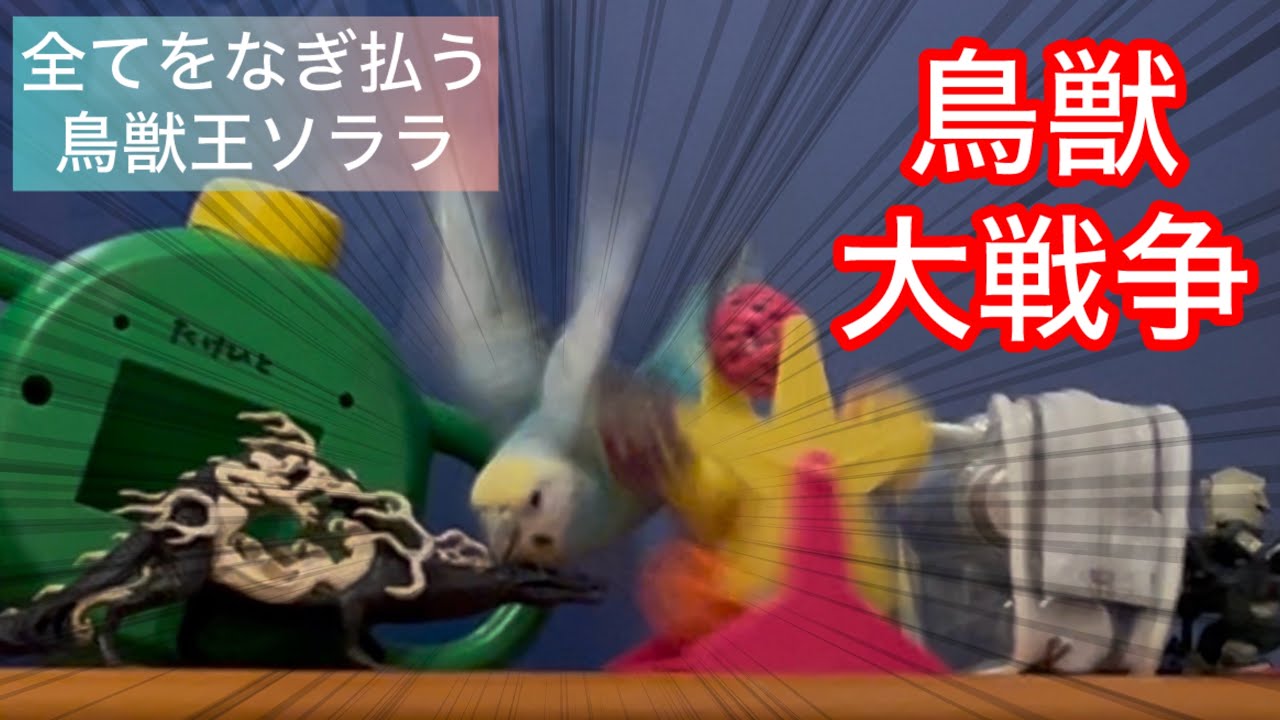 NO LIFE！NO インコ！！