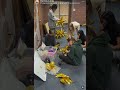 2026 Prom Setup (Behind the Scenes)