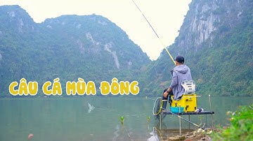 CÂU CÁ MÙA ĐÔNG