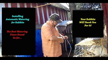 Rabbit Husbandry - Installing Automatic Watering System for Rabbits!  Part 1