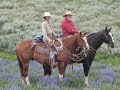 Wil Howe Ranch Gelding "Big Country" 2016