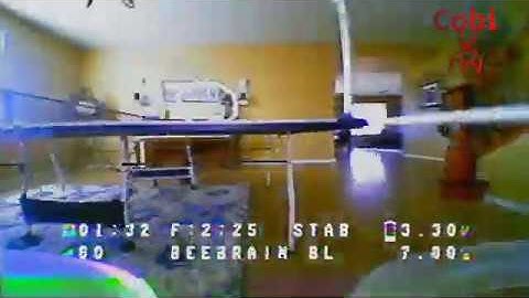 Shreddin with the Newbeedrone Beebrain Brushless