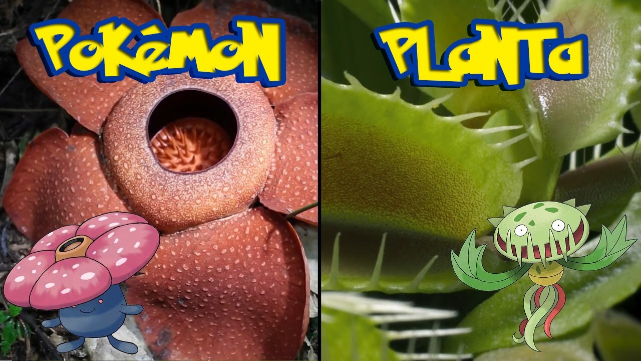 Ficción científica - Pokémon planta en el mundo real 