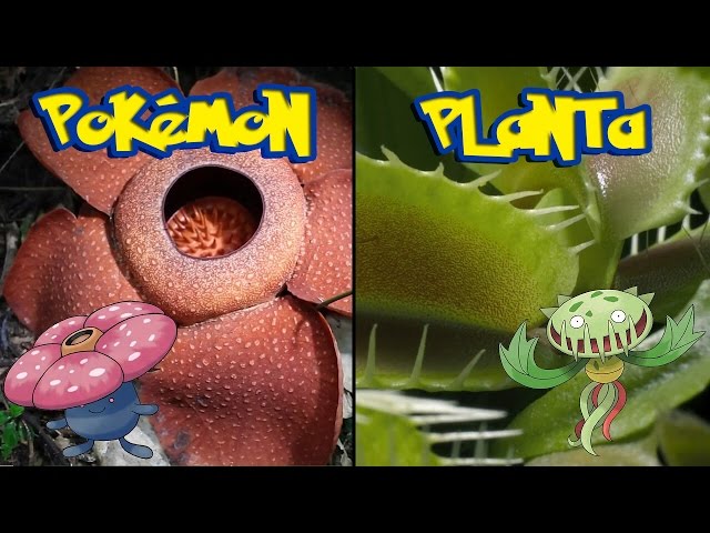 Ficción científica - Pokémon planta en el mundo real 