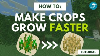 Make Crops Grow Faster With Commands! (Random Tick Speed)