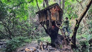 New House On A Big Tree Alone In The Bush