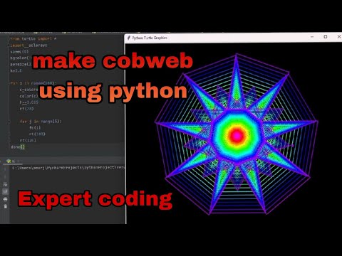 make cobweb using python || make cobweb 2023 || @expertcoding3624