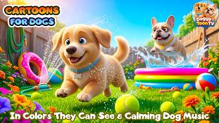 Summer Cartoon for Dogs to Watch When Home Alone 🐶 in Colors Dogs Can See | with Dog Calming Music