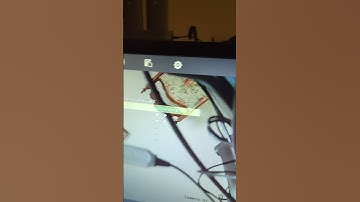 Turn off hikvision colorvu camera lights