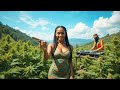 Ganja Roots Reggae Meditation Mix – Deep Roots, Sacred Smoke & Peaceful Vibes