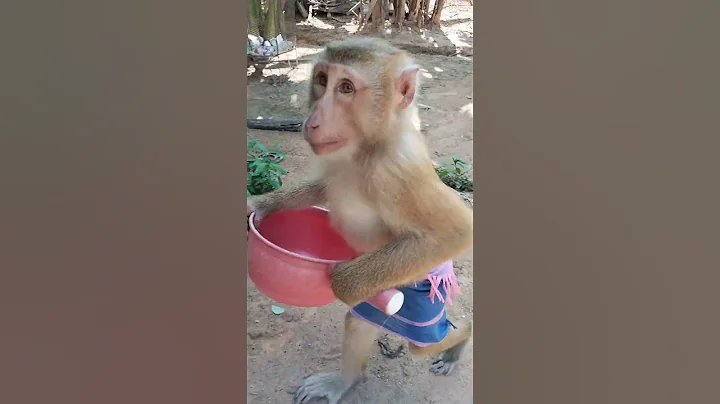 Best SokYaa Going To Bath Alone But Like This #shorts