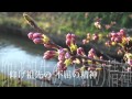 明道中学校 校歌