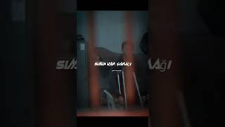 Cihat Sarsılmaz Cezaevini Yaktırıyor Hissiz Profil