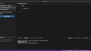 Writing the first Dart Program