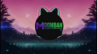 RudeBoi & DopeBoii - BACKSHOT 'Floppa Gun 2'