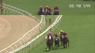 CHALLENGE ACCEPTED wins The Azzurro Plate