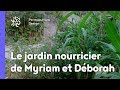 Un permaculteur un jardin  un parking transform en jardin nourricier grce  la permaculture