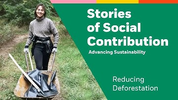 Advancing Sustainability | Reducing Deforestation