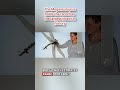 The Meganeuropsis holds the record as the largest insect in history #naturelover