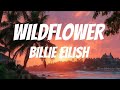 WILDFLOWER Billie Eilish 