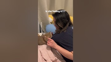 Spraying myself with catnip to see how my cat would react #shorts