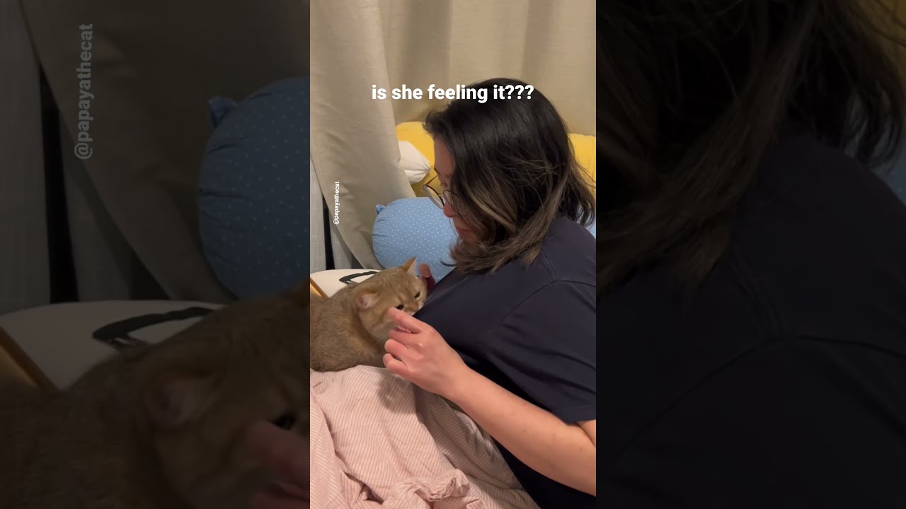 Spraying Myself With Catnip To See How My Cat Would React Shorts