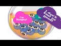 Understanding Bacterial Growth Phases