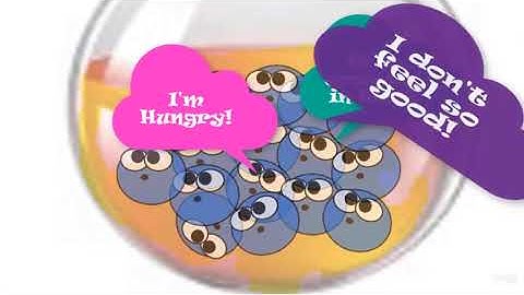 Bacterial Growth Curve Virtual Lab