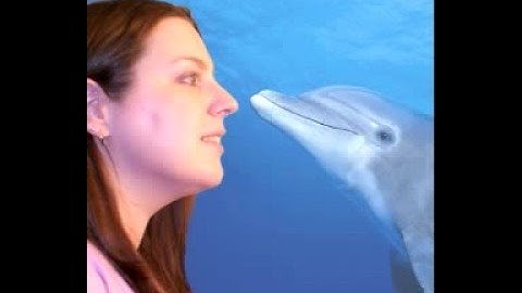 Web 2.0 Marketing - Is Your Image Boring?