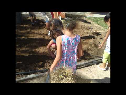 Vídeo: De Què Parlen Les Males Herbes