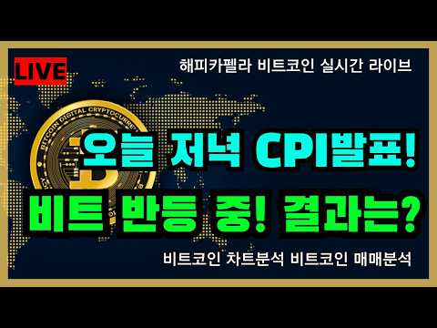 [실시간 라이브], 오늘 저녁 CPI 발표! 비트 반등 중 결과는? 8/12 점심