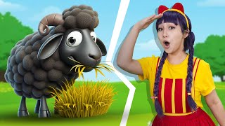 Where Is My Black Sheep ? | Baa Baa Black Sheep | Tigiboo Kids Song & Nursery Rhymes