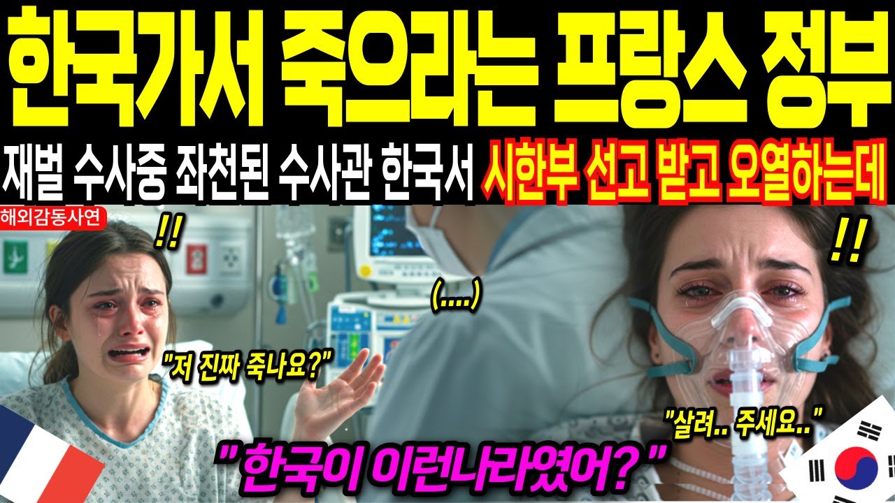 [해외감동사연] 프랑스 고위 인사, 한국에서 살려낸 극적 반전! 중국 발칵, 미국도 놀란 전세계적 감동 실화