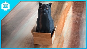 Cat in a Box (Multi Color) - Time-lapse