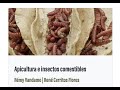 07.-Apicultura e insectos comestibles.