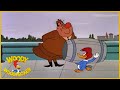 Woody Woodpecker Niagara Fools Full Episodes 