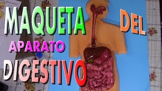 como hacer la maqueta del aparato dijestivo/HOW TO MAKE A MODEL OF DIGESTIVE /APARELHO DIGESTIVO