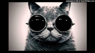 Gramatik - Muy tranquilo (DJ Vitamin D re-edit)