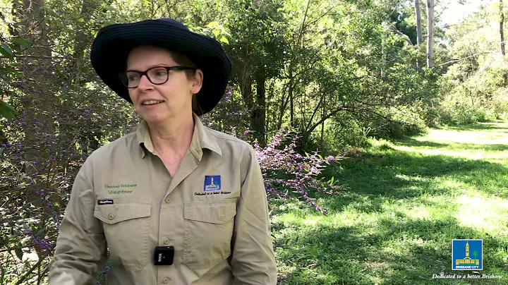 Habitat Brisbane volunteer, Stephanie Ford - Arnwo...