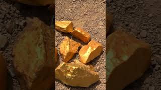 #Shorts Treasures from Gold Nuggets - Parte III