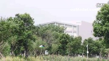 ooModel.com -- Walkera New V450D01 Testing Flight.mp4