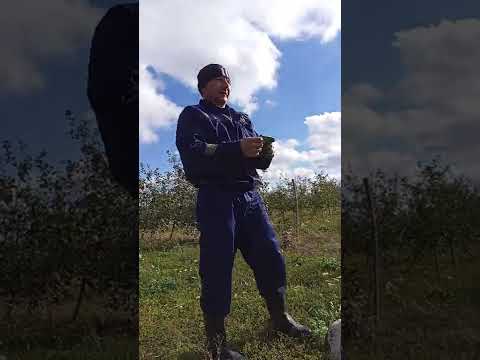 работа на садах придонья😂