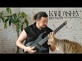 Kardashev - Reunion (Guitar Playthrough)