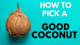How To Choose A Ripe & Good COCONUT | 6 Easy Tips