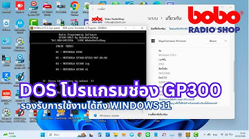 DOS โปรแกรมช่อง MOTOROLA GP300 Programming ON WIN11