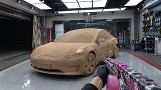 Tesla Model 3 Gets a Satisfying Wash… Then THIS Muddy VW Nearly Ruined My Day