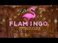 Highlight Reel 2022 - The Pink Flamingo Spiegeclub, Gold Coast, Australia