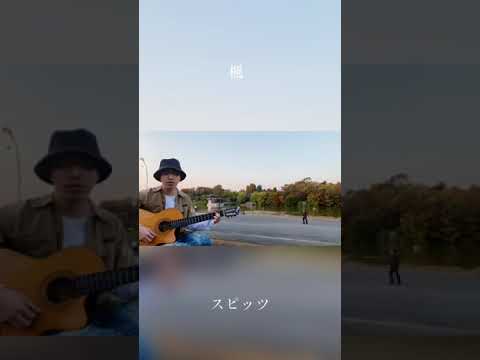 楓 - スピッツ　弾き語りカバー