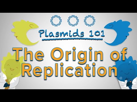 Origin of Replication - Plasmids 101